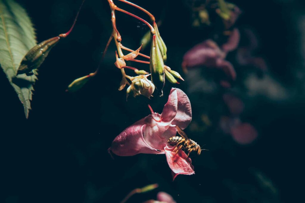 Frame4 1024x682